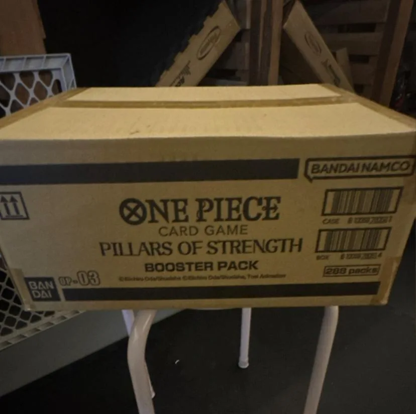 One Piece Cases